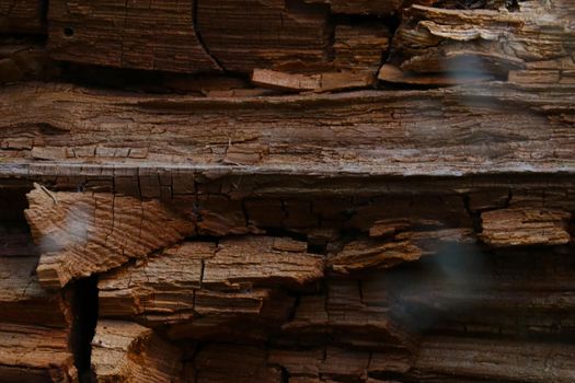 Old dark wood close-up, background, wood texture