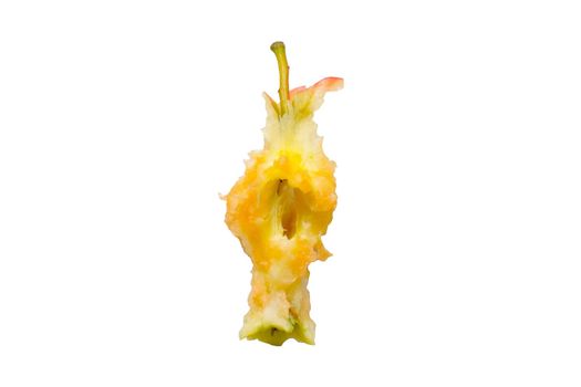 Apple core on a white background. Leftovers from food