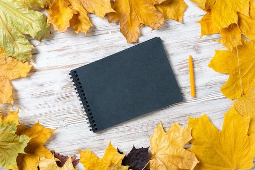 Spiral black notepad and pen lies on vintage wooden desk with bright autumn foliage. Business and education. Flat lay with autumn leaves on white wooden surface. Blank notepaper with copy space.