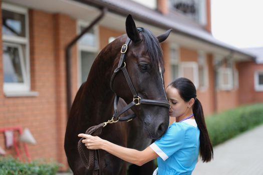 Woman veterinarian conducts medical examination of sports horse. Services of veterinary clinics concept