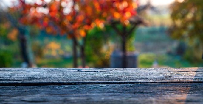 Wooden table, tabletop, blurred autumn background, Empty wooden shelf, counter, desk. Perspective wood tabletop