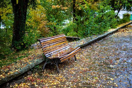 Empty lonely bench with leaves in autumn park