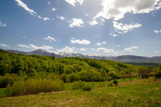 Snow-capped mountains at the horizon and green forest. Colorful landscape in spring.