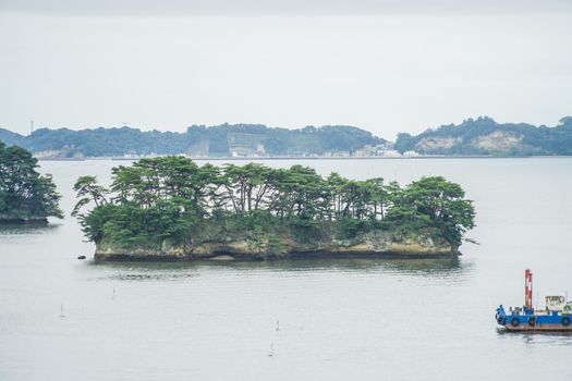 Matsushima landscape (Nippon Miyagi / Miyagi Prefecture). Shooting Location: Sendai, Miyagi Prefecture