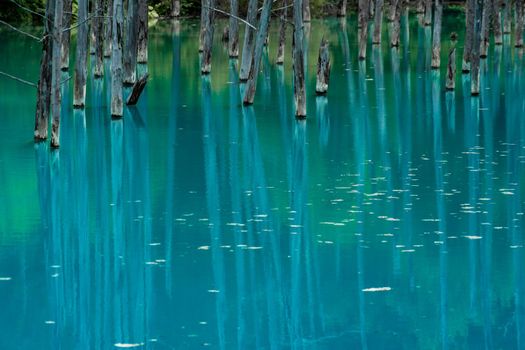 Platinum Blue Pond (Hokkaido Biei-cho). Shooting Location: Hokkaido Biei-cho