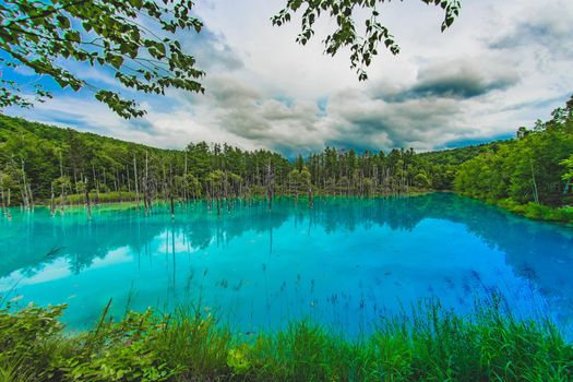 Blue pond that looks like Hayayashi (Hokkaido Biei-cho). Shooting Location: Hokkaido Biei-cho