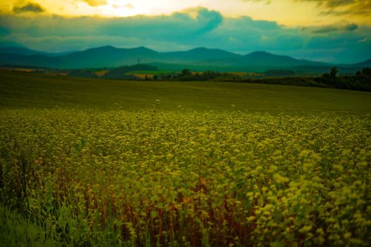 Sunset view with meadow in Hokkaido. Shooting Location: Hokkaido Biei-cho