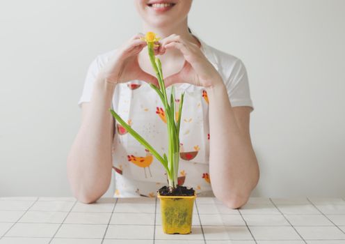 lovely housewife woman with flower in pot. Gardening, holidays, Spring and Easter concept