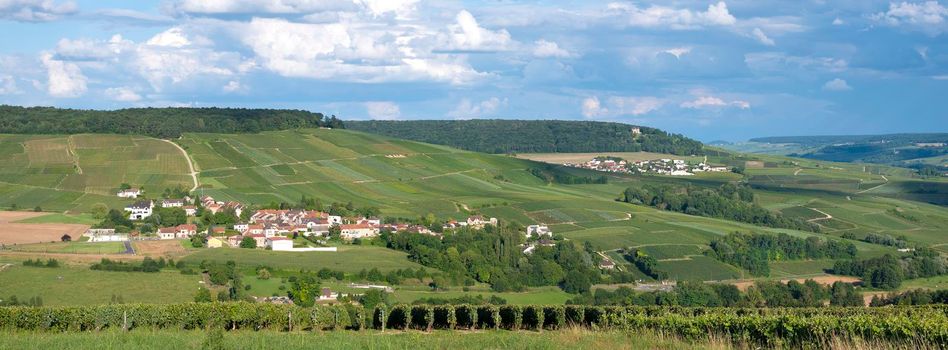 vineyards in countryside of marne valley south of reims in french region champagne ardenne