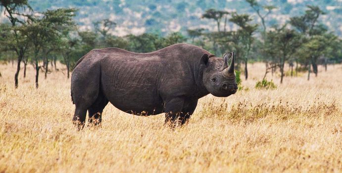 Beautiful Bwabwata ,Namibia wildlife  Pictures