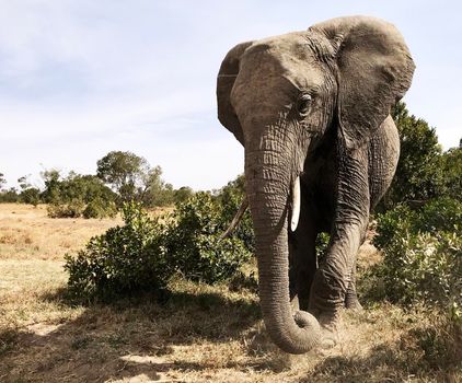 Beautiful Bwabwata ,Namibia wildlife  Pictures