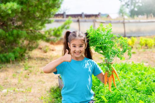 Smiling cute little girl in green t-shirt holding bunch fresh carrot and showing thumbs up, standing in the garden on a sunny day. Copy space