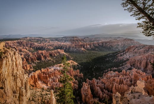 Bryce National Park hoodoos in the morning light