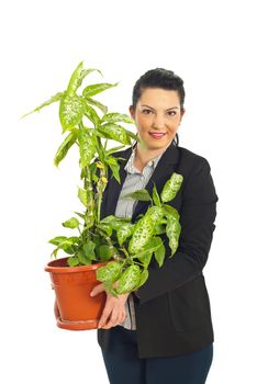 Business woman holding a big vase with plant isolated on whi