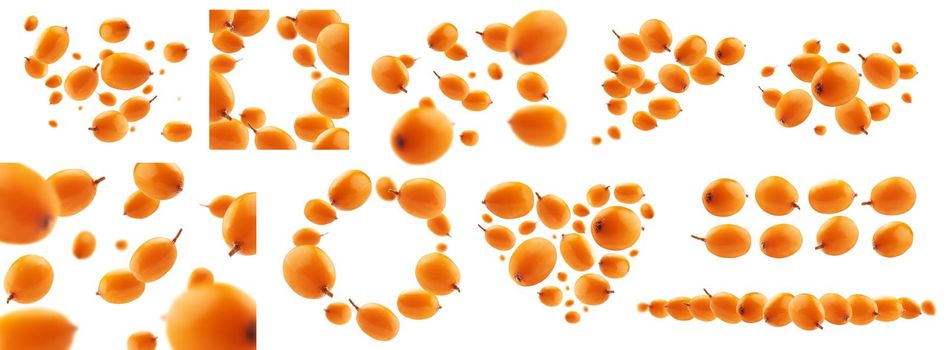 A set of photos. Sea buckthorn berries levitate on a white background.