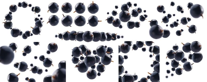 A set of photos. Blackcurrant berries levitate on a white background.