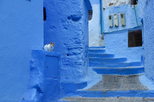 A Street in Blue Chefchaouen City, Morocco