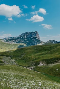 Mountain valley during sunrise. Natural summer landscape. Mountain peak green nature scenery. trail on green hill landscape