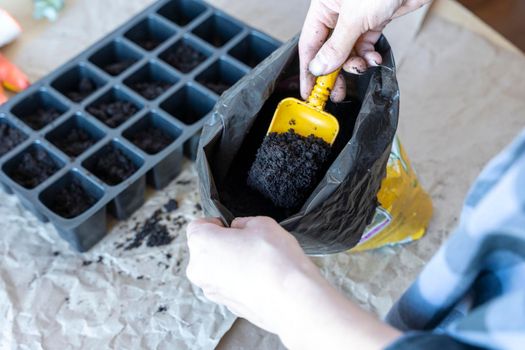 A woman with a scoop pours soil from a bag into a cassette for seedlings on the desktop. The process of filling pots for seedlings with earth. gardening concept