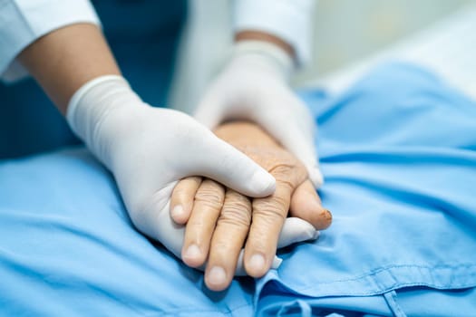 Holding hands Asian senior or elderly old lady woman patient with love, care, encourage and empathy at nursing hospital ward, healthy strong medical concept