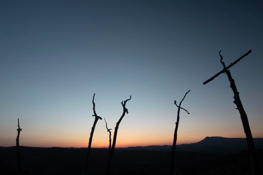 Crosses in memory of a burned forest close to Montserrat mountain in Catalonia