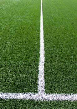 White line on green football field