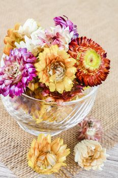 The Dried straw flower heads in cup on wooden background.