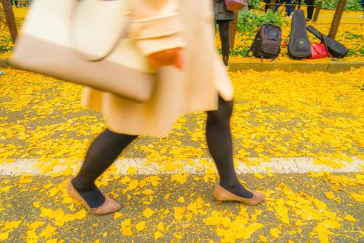 Jingu Gengui Chi-san Ginkgo and People Feet. Shooting Location: Tokyo metropolitan area