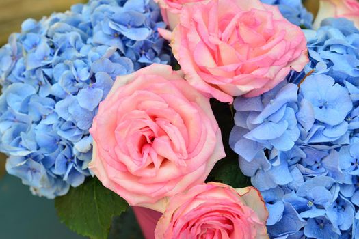 Bouquet of pink roses and blue hydrangea in a vase