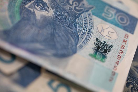 A thick bundle of paper money compressed with a red rubber band. Polish national paper cash.