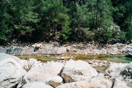 Mountain canyon river surrounded with trees and rocks. Spectacular landscape of rapid river flowing between rough rocks and forest trees.