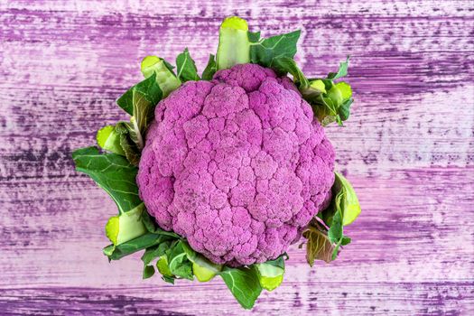 cauliflowers seen from above on old purple board