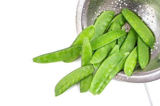 Pea eats everything in a strainer on a cropped white background.