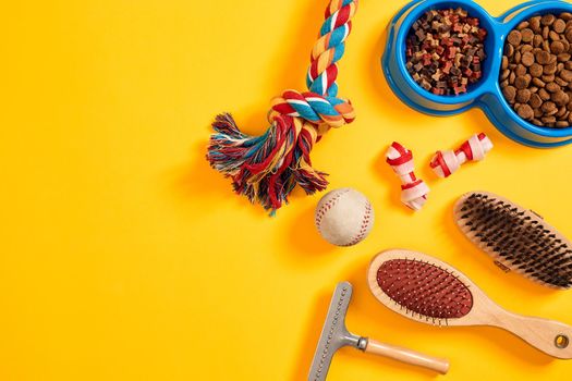 Accessories for the grooming of the dog on yellow background. Combs and brushes for dogs. Top view. Still life. Copy space. Flat lay