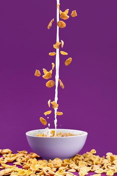 Falling granola with milk splash in bowl. Healthy breakfast ingredients. Flying food on purple background. Still life. Copy space