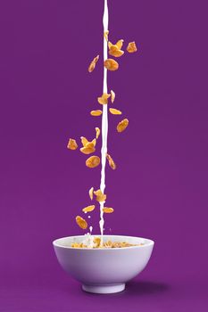 Falling granola with milk splash in bowl. Healthy breakfast ingredients. Flying food on purple background. Still life. Copy space