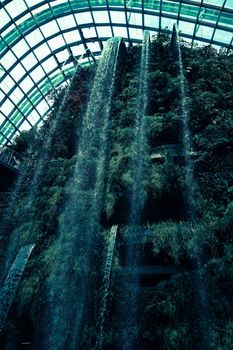 Singapore Cloud Forest. Shooting Location: Singapore