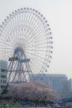 The city of Yokohama Minato Mirai seen from the sightseeing boat. Shooting Location: Yokohama-city kanagawa prefecture