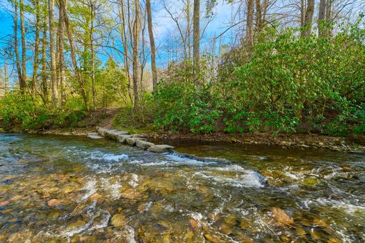 Mills River in Pisgah National Forest North Carolina.