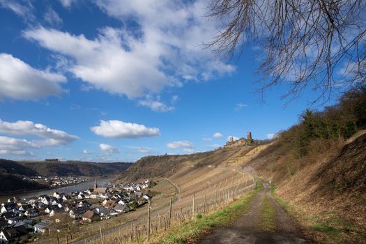 Panoramic landscape with view to the Thurant castle and the village Alken, Moselle, Germany