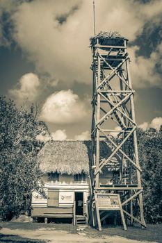 Muyil Mexico 02. February 2022 Old black and white picture of panorama view to the Muyil Lagoon in the tropical jungle nature forest with boats people watch tower in Sian Ka'an National park Mexico.