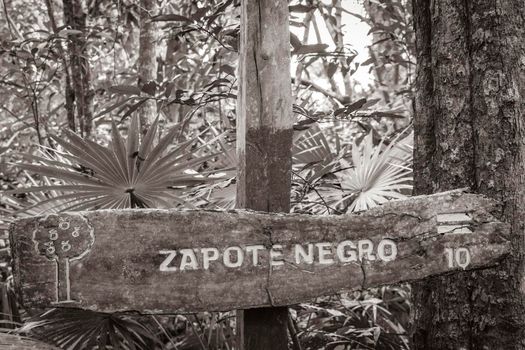 Muyil Mexico 02. February 2022 Old black and white picture of an information entrance walking trails and welcome sing board to the Sian Ka'an National Park in Muyil Chunyaxche Quintana Roo Mexico.
