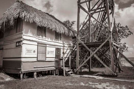 Muyil Mexico 02. February 2022 Old black and white picture of panorama view to the Muyil Lagoon in the tropical jungle nature forest with boats people watch tower in Sian Ka'an National park Mexico.