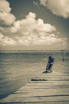 Old black and white picture of the natural panorama view to the Muyil Lagoon in tropical jungle nature forest in Sian Ka'an National park Muyil Chunyaxche Quintana Roo Mexico.