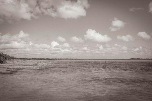 Old black and white picture of the natural panorama view to the Muyil Lagoon in tropical jungle nature forest in Sian Ka'an National park Muyil Chunyaxche Quintana Roo Mexico.