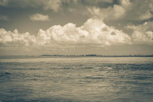 Old black and white picture of the natural panorama view to the Muyil Lagoon in tropical jungle nature forest in Sian Ka'an National park Muyil Chunyaxche Quintana Roo Mexico.