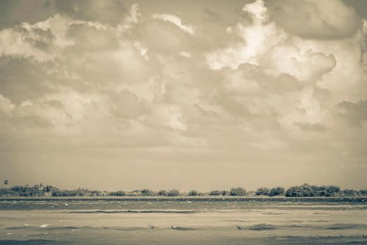 Old black and white picture of the natural panorama view to the Muyil Lagoon in tropical jungle nature forest in Sian Ka'an National park Muyil Chunyaxche Quintana Roo Mexico.