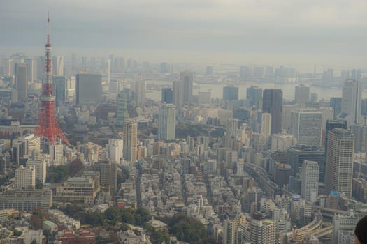 Tokyo cityscape seen from Roppongi Hills. Shooting Location: Tokyo metropolitan area