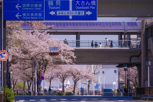 The city of full bloom and the city of Yokohama Minato Mirai. Shooting Location: Yokohama-city kanagawa prefecture