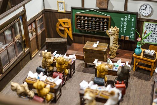 Cat school. Shooting Location: Tokyo metropolitan area